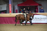 SBM_09393