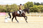 SBM_004237