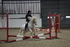 AJG_0038
