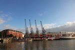 Bristol Cranes _B0201