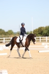 SBM_001243