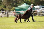 SBM_01884