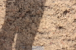 240629A-091927-02915