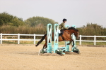 SBM_000261