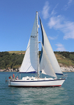 140729 SCOT FREE GBR1443T portfolio