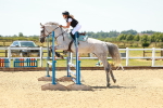 SBM_006282