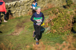Sale Fell-63