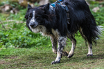 Dovedale-2234