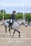 BPP_4521