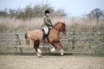 SBM_006076