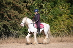WJ6_7086