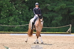 C-282-Harry.Meade-NASHVILLE portfolio