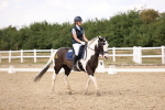 SBM_008865
