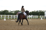 SBM_002576