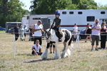 WJ6_8937