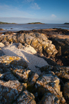 Shell Beach, Kippford (06060701)