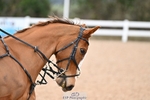 Saturday 8th - Click to View portfolio
