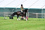 SBM_03827