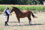 WJ6_4825