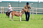SBM_03535