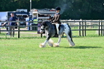 SBM_11533