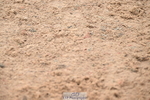240720A-085029-13145