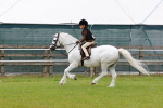 SBM_09530