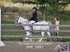 BPP_3997