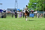 SBM_03834