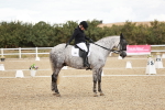 SBM_004905
