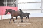 JAC_5216
