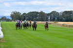 070826-Race 1-Drish Samphire-1321