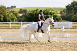 SBM_008234