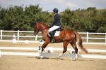 SBM_001462