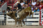 KyHamilton_0228