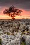 Twistleton Sunset