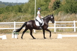 SBM_001559