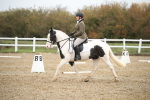 SBM_001737