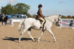 SBM_12277