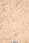 230813A-093028-11211