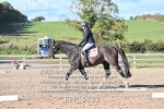 BPP_9132