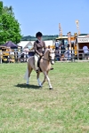 SBM_15334