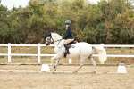 SBM_003599