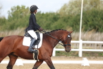 SBM_000913