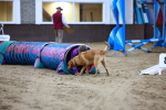 SBM_006535