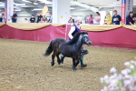 SBM_14764