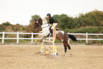SBM_009032