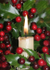 4  HOLLY AND BERRIES 1