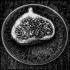 FIG