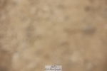 240817-170642-03210